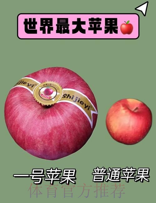 世界杯滚球苹果全站 世界杯滚球苹果全站